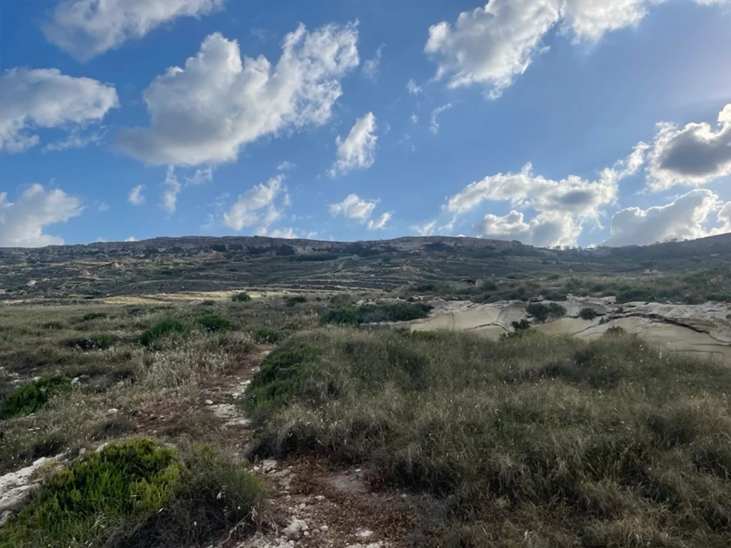 malta-view-fields-dingli